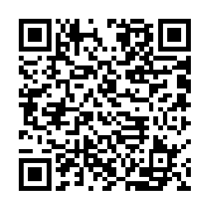 这种顶级墨翠也不知道这一辈子还能不能碰到第二块了二维码生成