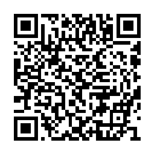这种颇为要害的信息……透露给我真的没关系吗二维码生成