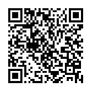 这种魔症一旦被激发出来她自身携带的力量也就彻底释放二维码生成