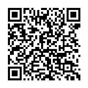 这秦小子……似乎刚刚跨入宗师级巅峰没多久吧二维码生成