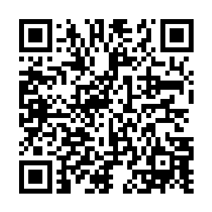 这程浩宇一天到晚脑子里面想的都是什么玩意儿啊二维码生成