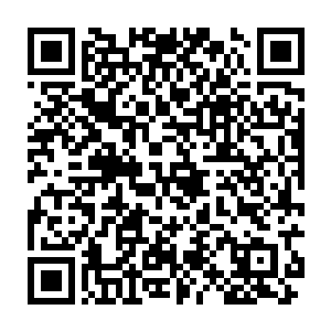 这究竟是哪位长辈从哪里带回来的妖孽啊听他意思他还吃过凝液丹二维码生成