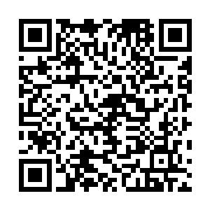 这究竟要多大的仇恨和怨气才能迁怒到这么多人身上去啊二维码生成