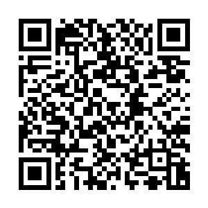 这空中沼泽是一种用水属性符宝和土属性符宝结合的一种阵法二维码生成