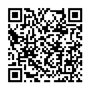 这突兀的声音将梓箐从平静的思绪中猛地拉了出来二维码生成