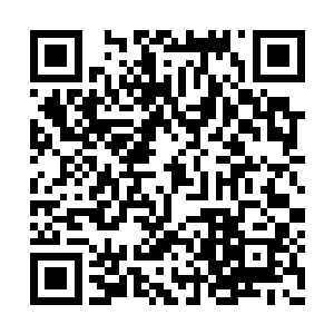 这突如其来的灾难让她的记忆一下子就回到去年二维码生成