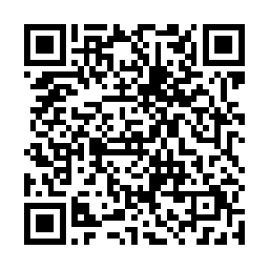 这笔巨额财富就藏在蓝魅酒吧三楼阁层的一个密室之中二维码生成