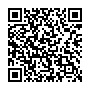这笔开销即便以她现在的收入恐怕也只能勉强够二维码生成