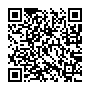 这笔钱哪怕均分到五大家族也是一笔不小的财富了二维码生成