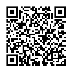 这第一家族的三祖绝对有能力让时日天看到过去的情景二维码生成