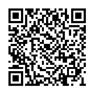 这第一批陆续赶到的人也都是仙尊级别的大修士二维码生成