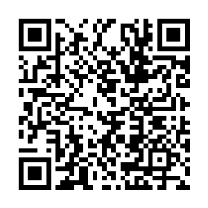 这等于是曾毅掌控了都察院内几乎所有的中层官员二维码生成