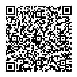 这等人一定不能让他活下去否则的话我们必死无疑而且有他在前方挡着我们也无法突破更高的境界二维码生成