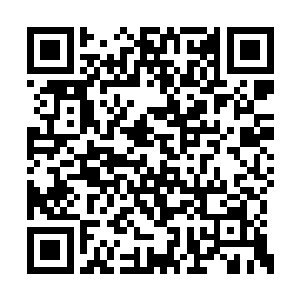 这等层次的神技哪怕是有混沌悟道石的辅助领悟二维码生成