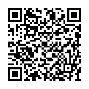 这等强者如果想要暴露身份必然会主动找上我们二维码生成