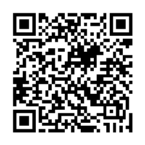 这等秦铮给他大哥做媒的事儿恐怕不出半日就要轰动京城二维码生成
