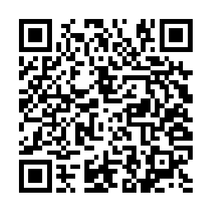 这等类似神火一般的存在若是能够和极品神技融合二维码生成