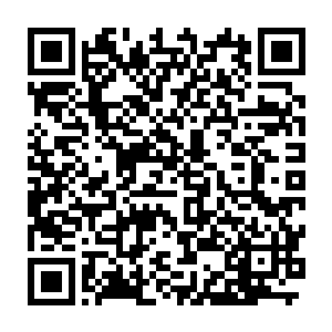 这等阵容绝对不是他现在能够招惹的这样若是龙傲天一旦暴lu的话二维码生成