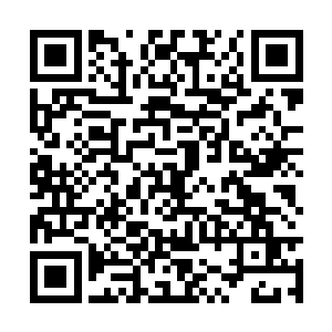 这简直就像是大白鲨光临之后的沙滩――惨不忍睹二维码生成