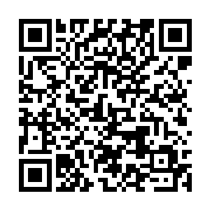 这简直是比那些经过无数严格训练的军犬更加厉害二维码生成