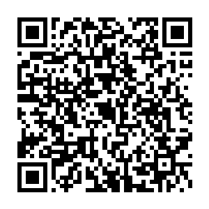 这简直跟他们在任务世界中经过的路人甲乙丙丁的姿容都算不上嘛二维码生成