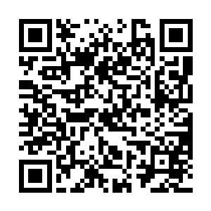 这算是他们自剑术大会以来看过最为精彩的一场对决了二维码生成
