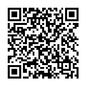 这类秘籍除了没有希望进阶到骑士的人才会修炼之外二维码生成