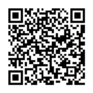 这紫金内丹最初他们也是盗过去的……不过追究这个也已无意义二维码生成