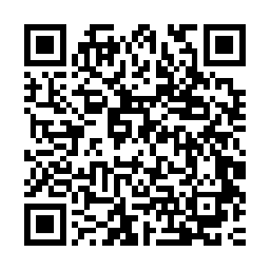这纵地牵光符中封印的可是几个纪年前格物宗秘制的如意传送阵二维码生成