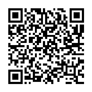 这练兵方式还真是闻所未闻要不要我们送几个兵马教头过来二维码生成