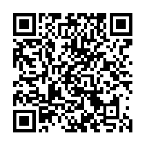 这绝对不是那些憨嘟嘟的水上飞机跟河马直升机能比的感觉二维码生成