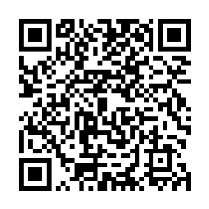 这绝对保证了天龙宗以后在尖端力量上绝对不会出现断层二维码生成