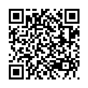 这绝对是可以打破莽山镇平衡的存在二维码生成