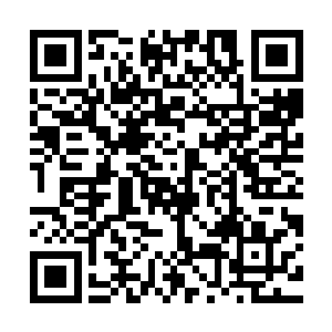 这绝对是林铭参加第一会武预选赛五个月以来见过的最强能量团二维码生成