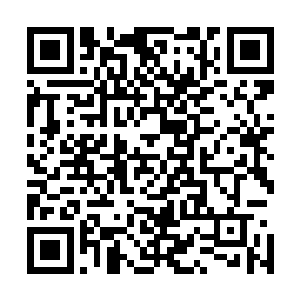 这绝对是龙傲天进入到陨神之地之后见过的最大的一只荒兽二维码生成