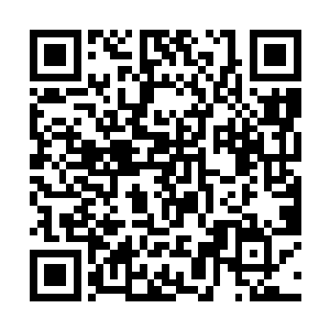 这绿洲之中有很多在中州那边没有的炼器材料和药草二维码生成