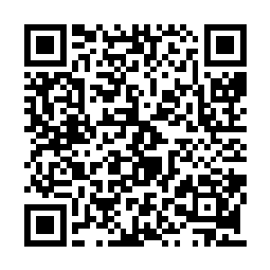 这缘由让若相离只能身不由已的跟在流墨墨身边二维码生成