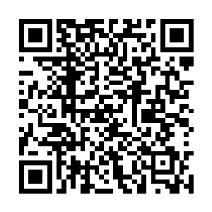 这罗天和毕修恐怕认为我已经被黑风双煞斩杀了吧二维码生成