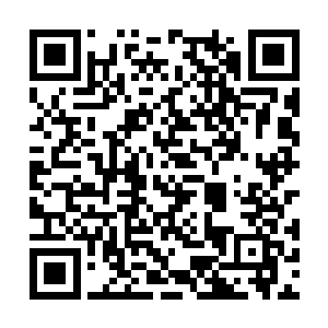 这罗汉却是寺里的方丈往栖霞寺请了拾得出来画的二维码生成