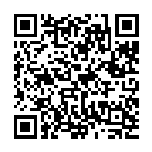 这群九天玄仙后期巅峰的水蛭将那只仙君初期的水蛭包围在中间二维码生成