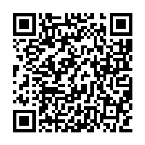 这群人又把他拉到过去那段他不想回忆的时光里二维码生成