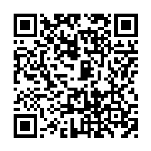 这群人就猛狼一样全都朝他扑过去撕扯他的衣服二维码生成