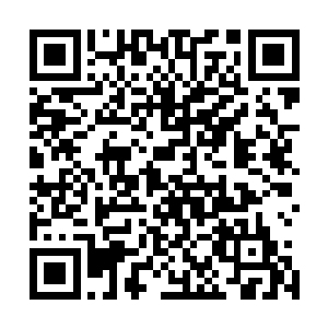 这群人还是没有从之前的萧韵儿给他们造成的阴影中走出来二维码生成