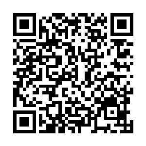 这群佣兵的头目已经收到了有人企图强行冲击入口的情报二维码生成