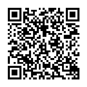 这群修者的回归彻底打破了原来世界的力量体系和平衡事态二维码生成