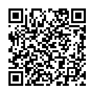 这群少女到底是哪根神经搭错了会产生他是魔鬼的想法二维码生成