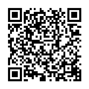 这群疯狂的人们已经将所有人间法律都抛在了脑后二维码生成