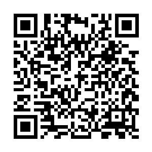 这群疯狂的家伙又像以前一样用子弹把人给打成肉沫二维码生成