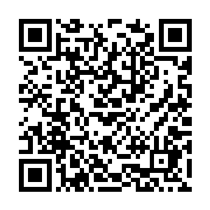 这群记者现在应该都在苦恼在石哥说的到底是谁吧二维码生成