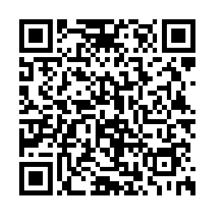 这羽化登仙诀在兽炼门也算一门极为特殊的仙法二维码生成